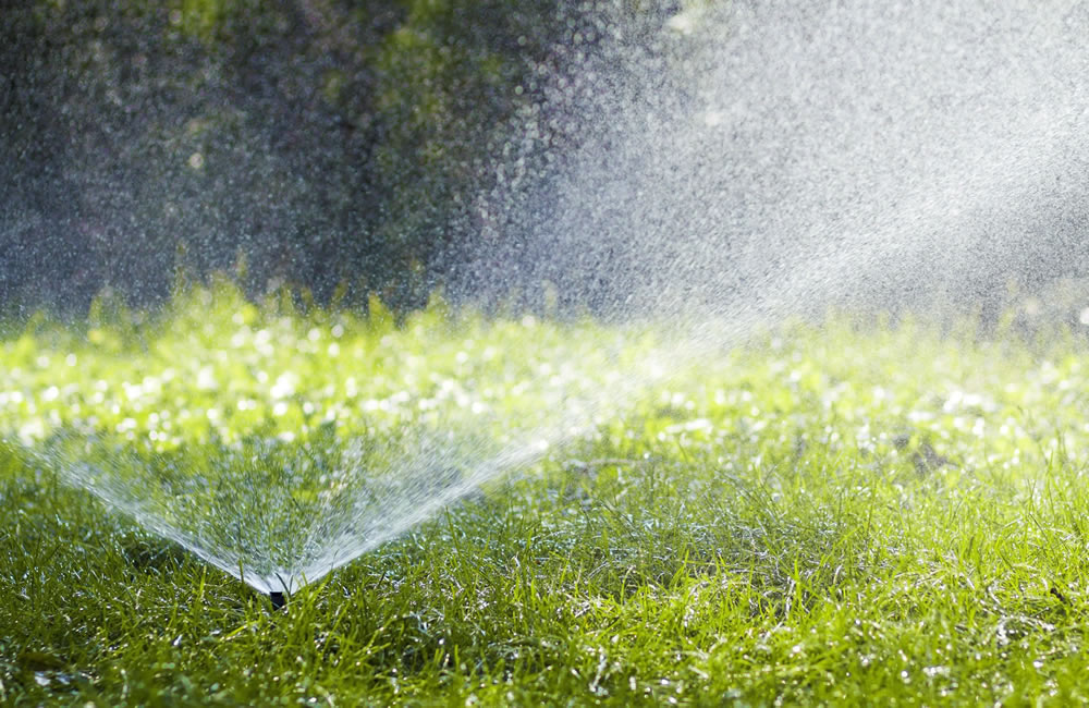 Irrigation Systems Greenville SC